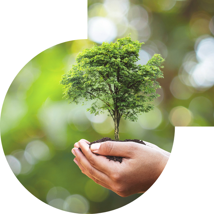 关怀人类、文化、环境与社会